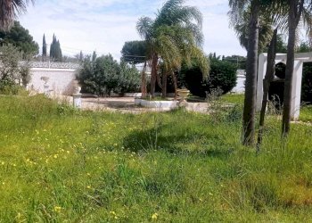 PHOTO-2025-03-26-12-58-29.jpg - Villa Castelvetrano - foto 7