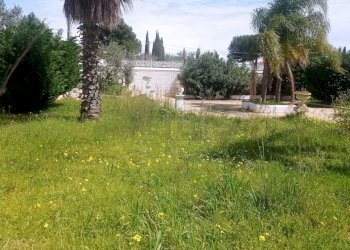 PHOTO-2025-03-26-12-58-29-1.jpg - Villa Castelvetrano - foto 8