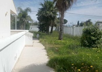 PHOTO-2025-03-26-12-58-30-1.jpg - Villa Castelvetrano - foto 10