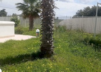 PHOTO-2025-03-26-12-58-31.jpg - Villa Castelvetrano - foto 11