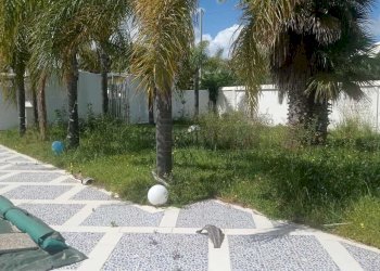 PHOTO-2025-03-26-12-58-33.jpg - Villa Castelvetrano - foto 12