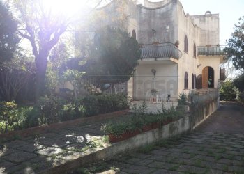 IMG_5419.jpg - Villa Mazara del Vallo - foto 4