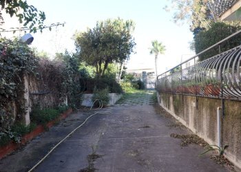 IMG_5422.jpg - Villa Mazara del Vallo - foto 7