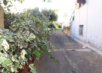 IMG_5425.jpg - Villa Mazara del Vallo - foto 12