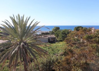 IMG_5442.jpg - Villa Mazara del Vallo - foto 17