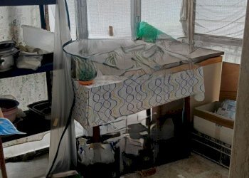 WhatsApp Image 2025-08-30 at 10.56.13(2).jpeg - Quadrilocale Via Giosuè Carducci 25, Maglie - foto 12