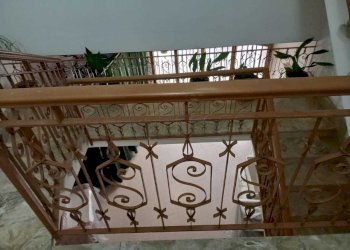 WhatsApp Image 2025-05-29 at 10.16.01(1).jpeg - Villa Via Maglie 9, Cursi - foto 12