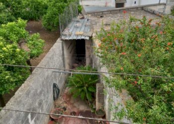 WhatsApp Image 2025-05-29 at 10.16.01(2).jpeg - Villa Via Maglie 9, Cursi - foto 14