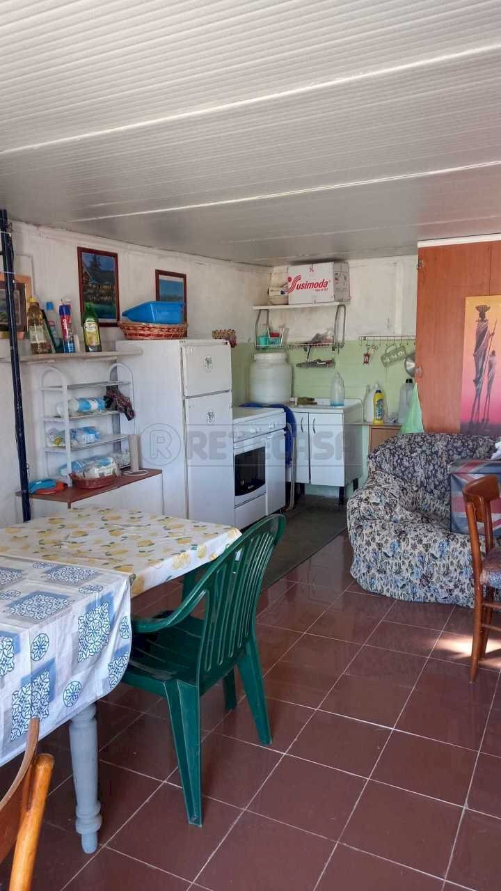 WhatsApp Image 2023-09-11 at 11.41.24(3).jpeg - Terreno agricolo Maglie - foto 3