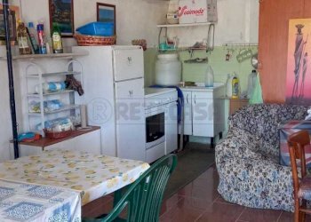 WhatsApp Image 2023-09-11 at 11.41.24(3).jpeg - Agricultural land Maglie - photo 3