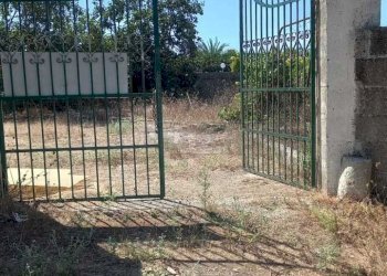 WhatsApp Image 2023-09-11 at 11.41.24.jpeg - Agricultural land Maglie - photo 4