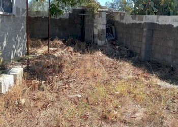 WhatsApp Image 2023-09-11 at 11.41.25.jpeg - Agricultural land Maglie - photo 5