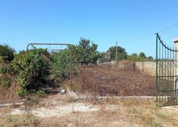 WhatsApp Image 2023-09-11 at 11.41.26(2).jpeg - Agricultural land Maglie - photo 7