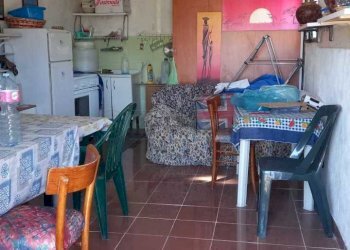 WhatsApp Image 2023-09-11 at 11.41.27(1).jpeg - Agricultural land Maglie - photo 9