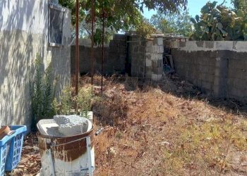 WhatsApp Image 2023-09-11 at 11.41.27.jpeg - Agricultural land Maglie - photo 10