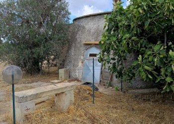 WhatsApp Image 2024-05-31 at 12.05.08(1).jpeg - Agricultural land Corigliano d'Otranto - photo 4