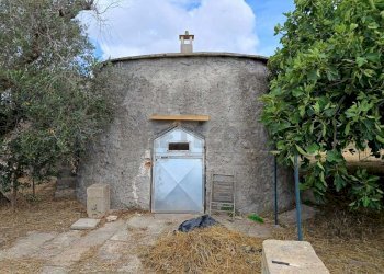 WhatsApp Image 2024-05-31 at 12.05.09(3).jpeg - Agricultural land Corigliano d'Otranto - photo 9