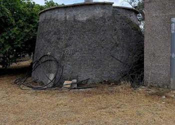 WhatsApp Image 2024-05-31 at 12.05.10(1).jpeg - Agricultural land Corigliano d'Otranto - photo 11