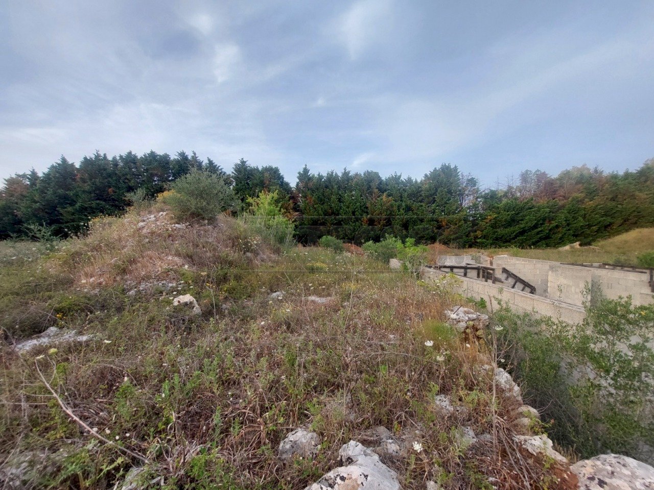 WhatsApp Image 2025-02-19 at 10.24.12(1).jpeg - Agricultural land Contrada Maccallè, Muro Leccese - photo 2