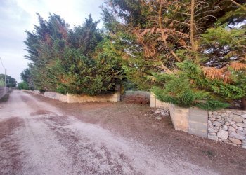 WhatsApp Image 2025-02-19 at 10.24.12(3).jpeg - Agricultural land Contrada Maccallè, Muro Leccese - photo 1