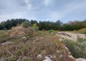 WhatsApp Image 2025-02-19 at 10.24.12(1).jpeg - Agricultural land Contrada Maccallè, Muro Leccese - photo 2