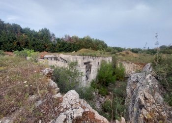 WhatsApp Image 2025-02-19 at 10.24.12.jpeg - Agricultural land Contrada Maccallè, Muro Leccese - photo 4