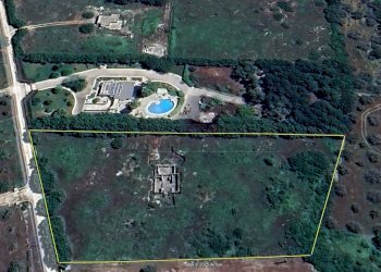 WhatsApp Image 2025-02-19 at 10.24.14(1).jpeg - Agricultural land Contrada Maccallè, Muro Leccese - photo 6