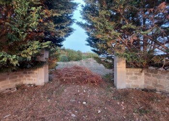 WhatsApp Image 2025-02-19 at 10.24.14.jpeg - Agricultural land Contrada Maccallè, Muro Leccese - photo 7