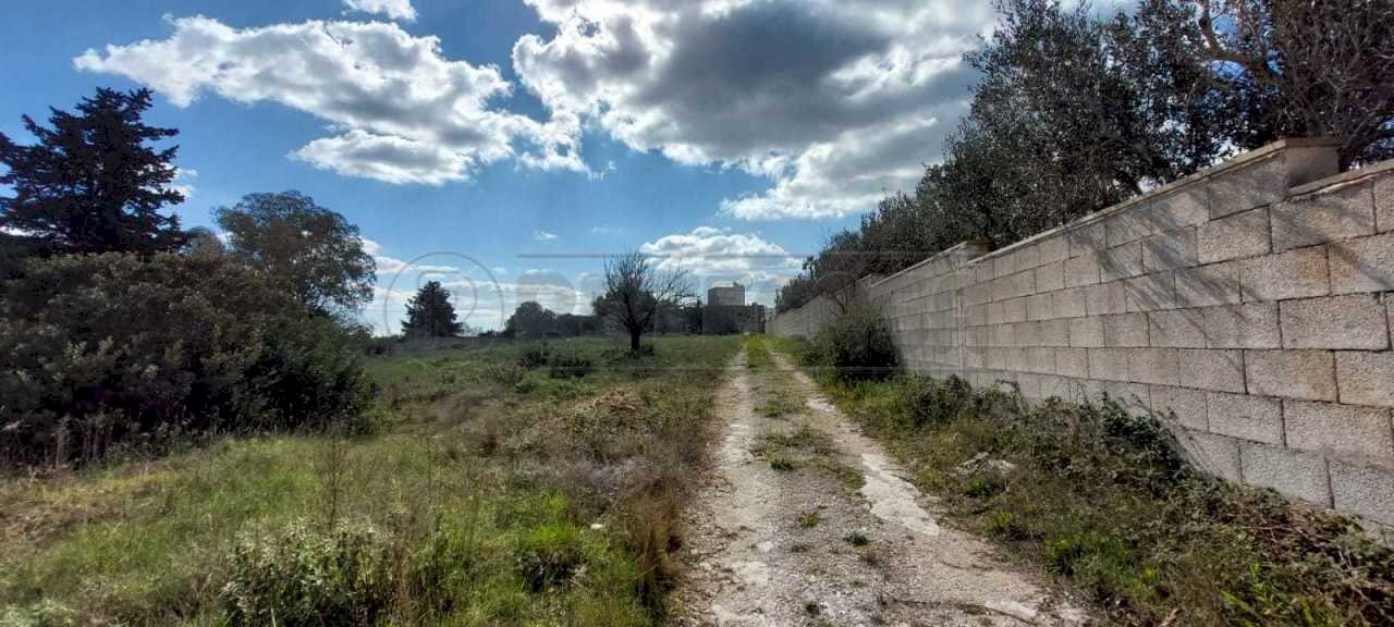 WhatsApp Image 2025-03-17 at 19.02.23(5).jpeg - Villa Contrada Luci, Maglie - foto 1