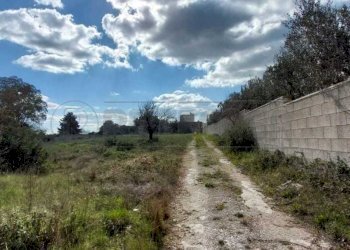 WhatsApp Image 2025-03-17 at 19.02.23(5).jpeg - Villa Contrada Luci, Maglie - foto 1