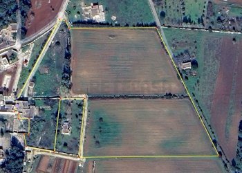 WhatsApp Image 2025-03-17 at 19.02.22.jpeg - Villa Contrada Luci, Maglie - foto 2