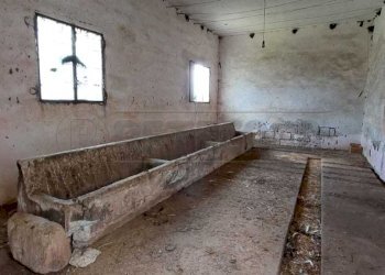 WhatsApp Image 2025-03-17 at 19.02.23(3).jpeg - Villa Contrada Luci, Maglie - foto 5