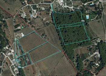 WhatsApp Image 2025-03-17 at 19.02.23(6).jpeg - Villa Contrada Luci, Maglie - foto 7