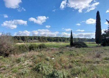 WhatsApp Image 2025-03-17 at 19.02.23.jpeg - Villa Contrada Luci, Maglie - foto 8