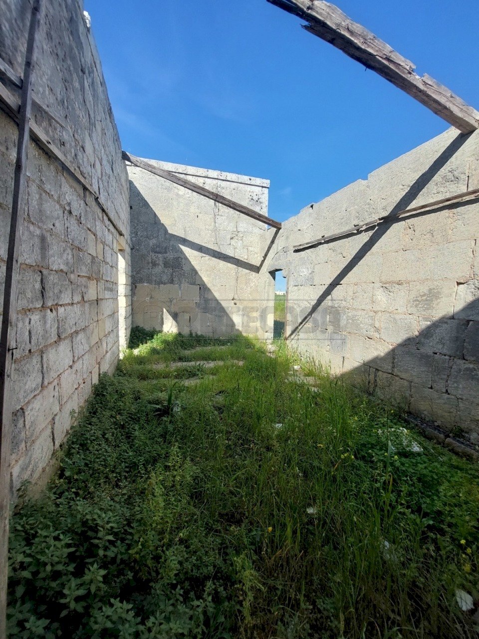 WhatsApp Image 2024-04-12 at 10.49.33(1).jpeg - Rustico Contrada Neviera, Scorrano - foto 2