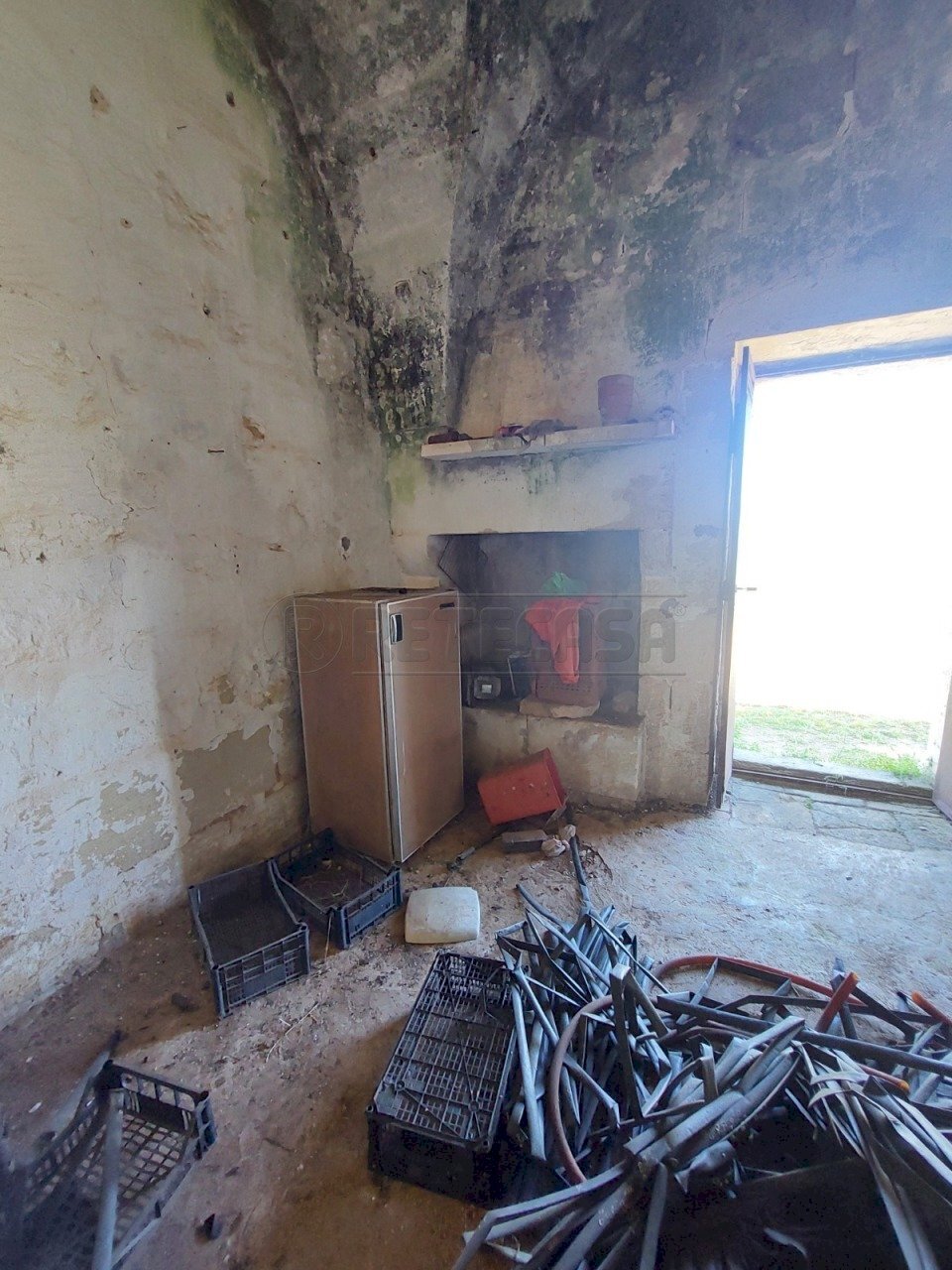 WhatsApp Image 2024-04-12 at 10.49.33(3).jpeg - Rustico Contrada Neviera, Scorrano - foto 3