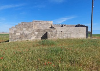 WhatsApp Image 2024-04-12 at 10.49.33(2).jpeg - Rustico Contrada Neviera, Scorrano - foto 1