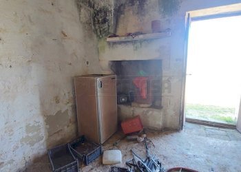 WhatsApp Image 2024-04-12 at 10.49.33(3).jpeg - Rustico Contrada Neviera, Scorrano - foto 3