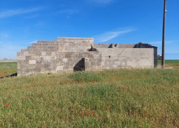 WhatsApp Image 2024-04-12 at 10.49.33(4).jpeg - Rustico Contrada Neviera, Scorrano - foto 4