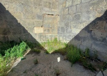 WhatsApp Image 2024-04-12 at 10.49.33(5).jpeg - Rustico Contrada Neviera, Scorrano - foto 5