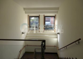 IMG_7224.jpg - Ufficio VIALE DEL POGGIO FIORITO, Roma - foto 27