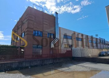 20250708_104547.jpg - Magazzino Via Monte Cevedale 70, Seveso - foto 2