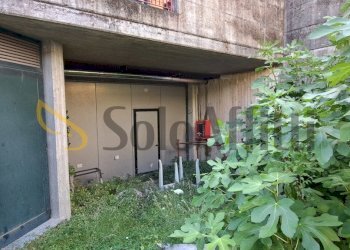 20250708_111342.jpg - Magazzino Via Monte Cevedale 70, Seveso - foto 6