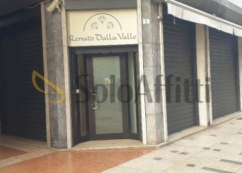 20250121_153721_resized.jpg - Locale Commerciale Via Pietro Avrese 6, Legnago - foto 2