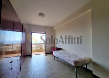 Monolocale Catanzaro - foto 3