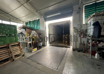 IMG-20250711-WA0010.jpg - Magazzino Via Mastrilli, Maddaloni - foto 9