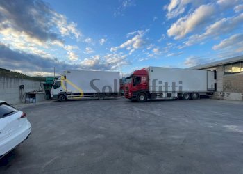 IMG-20250711-WA0012.jpg - Magazzino Via Mastrilli, Maddaloni - foto 11