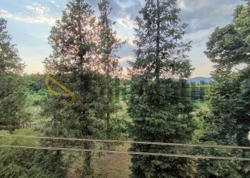 WhatsApp Image 2025-09-11 at 11.18.07.jpeg - Appartamento Via Belvedere, Trofarello - foto 18