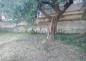 IMG20250717182347.jpg - Quadrilocale Offagna - foto 12