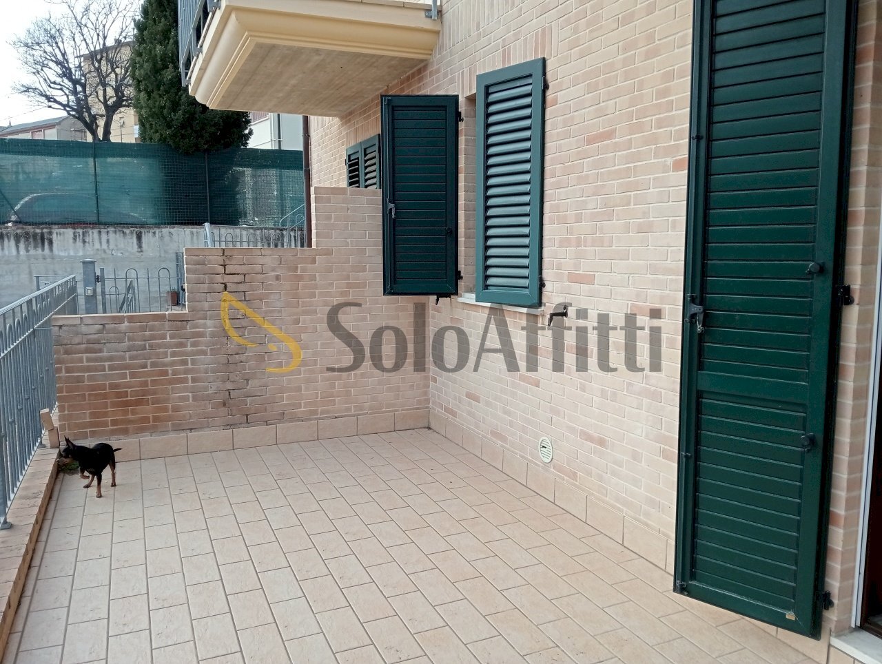 IMG20250220161128.jpg - Trilocale Polverigi - foto 3